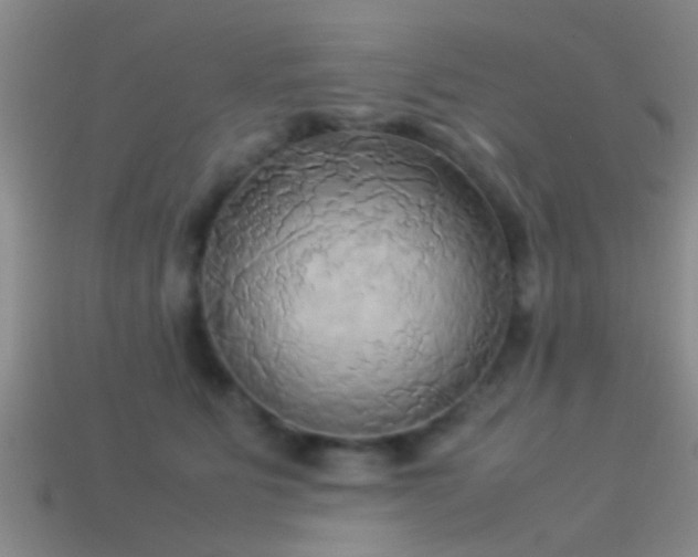 X0000114150515200910151547