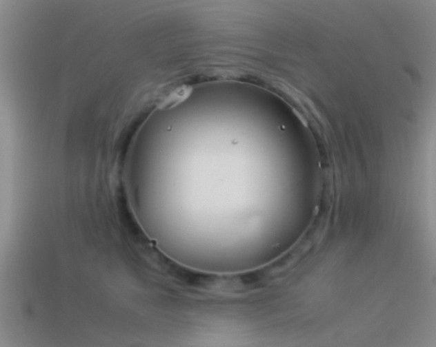 X0000114150517200910151547