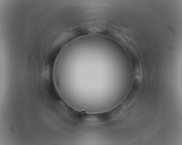 X0000114150519200910151547
