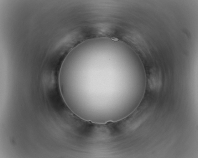 X0000114150520200910151547