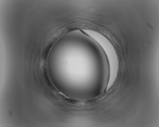 X0000114150521200910151547