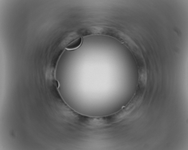X0000114150525200910151547