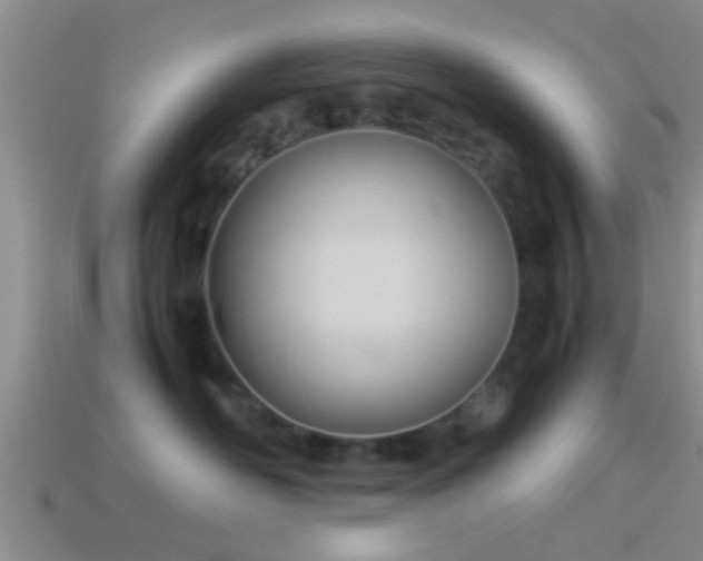 X0000114150526200910151547