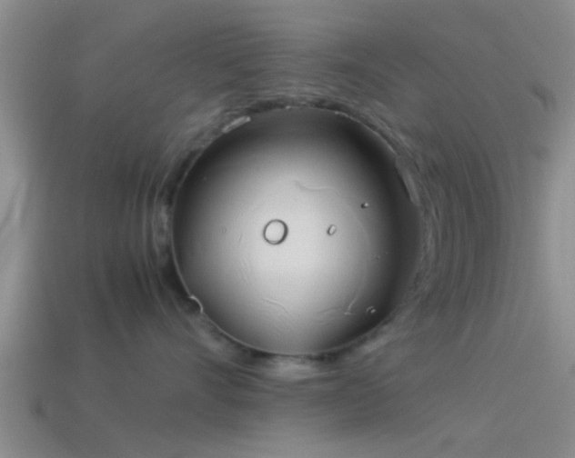 X0000114150528200910151547
