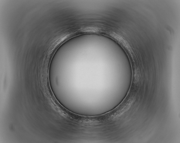 X0000114150529200910151546