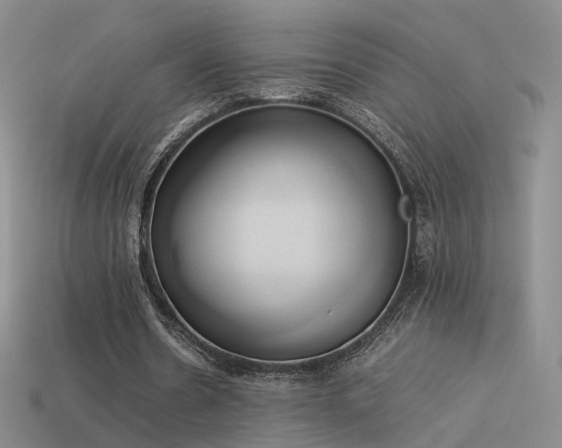 X0000114150530200910151546