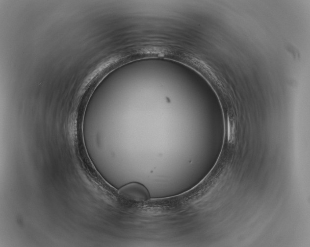 X0000114150531200910151546