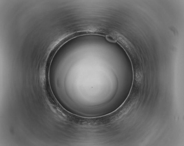 X0000114150532200910151546