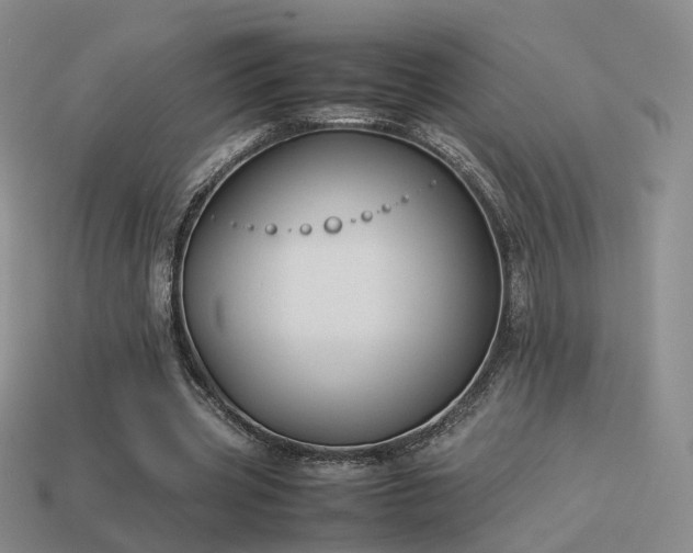 X0000114150533200910151546
