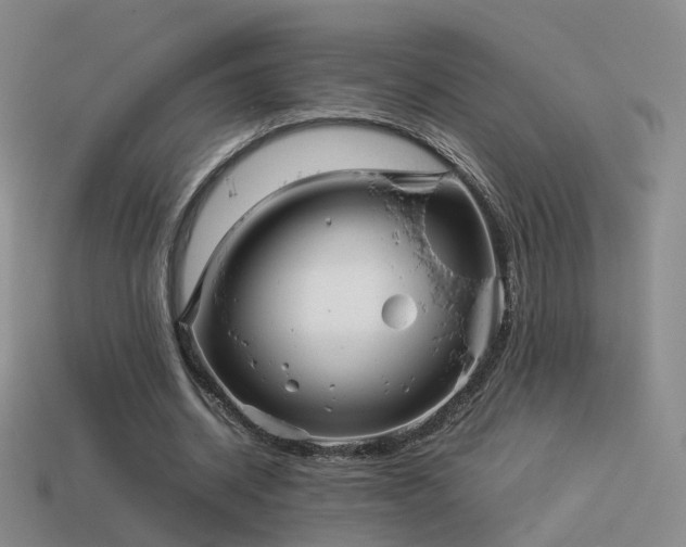 X0000114150534200910151546