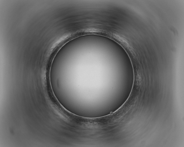 X0000114150535200910151546