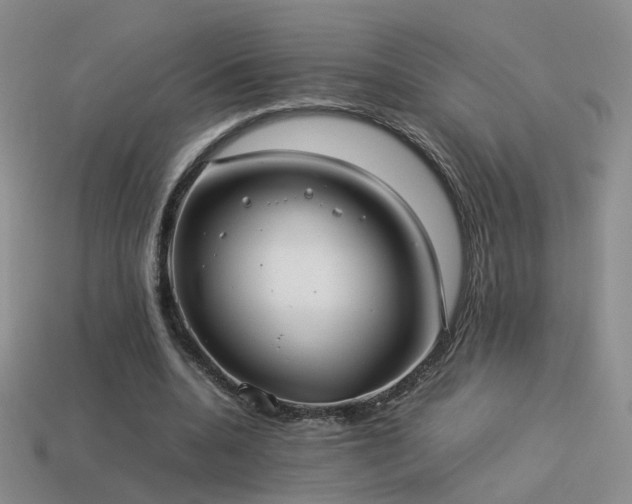 X0000114150536200910151546