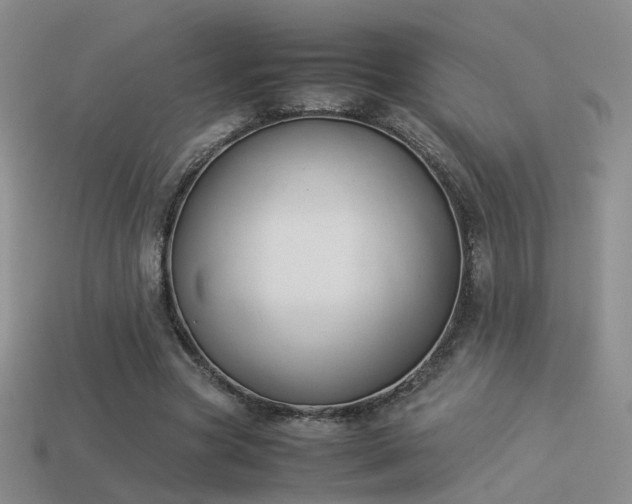 X0000114150537200910151546