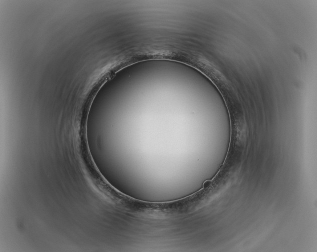 X0000114150538200910151546
