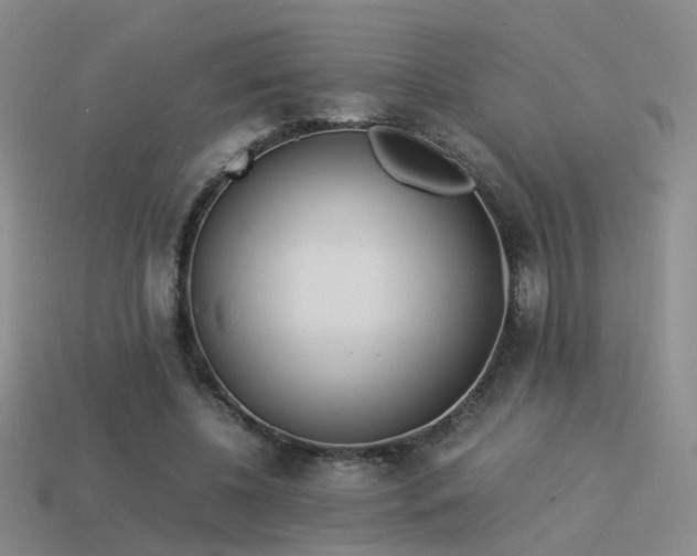 X0000114150540200910151546