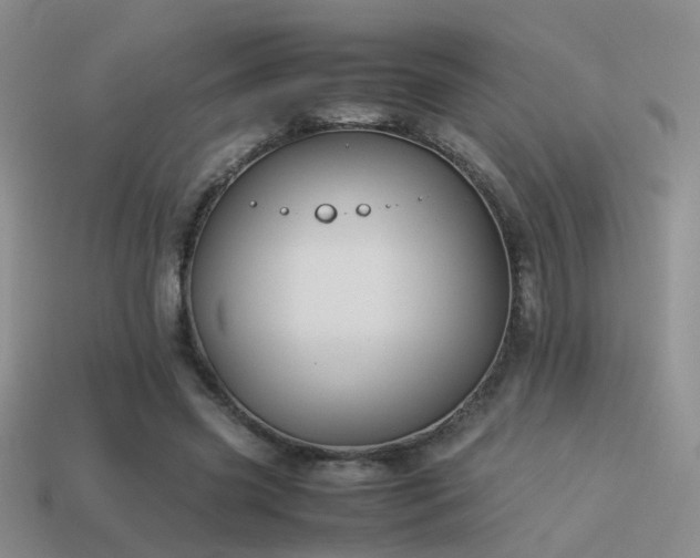 X0000114150541200910151546