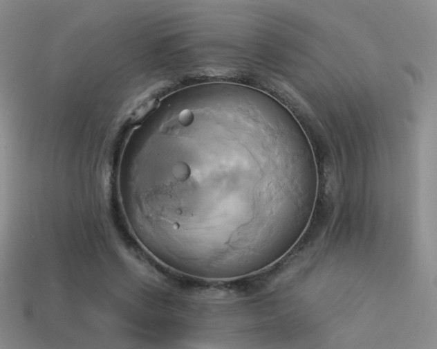 X0000114150542200910151546