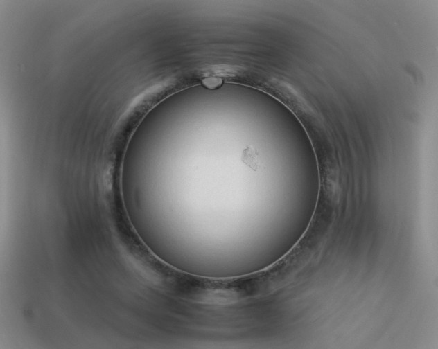 X0000114150543200910151546