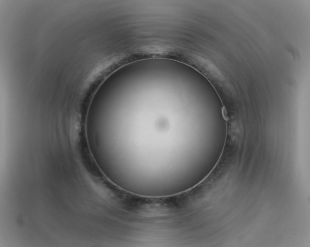 X0000114150544200910151546