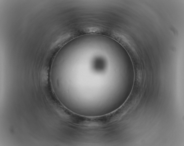 X0000114150545200910151546