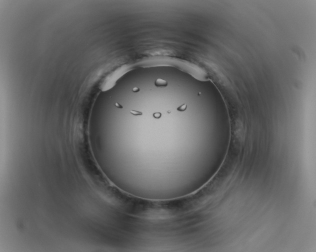 X0000114150547200910151547