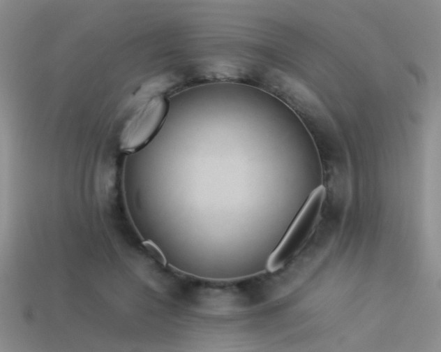 X0000114150548200910151547