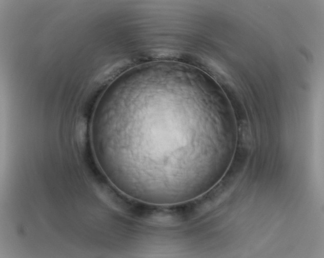 X0000114150550200910151547