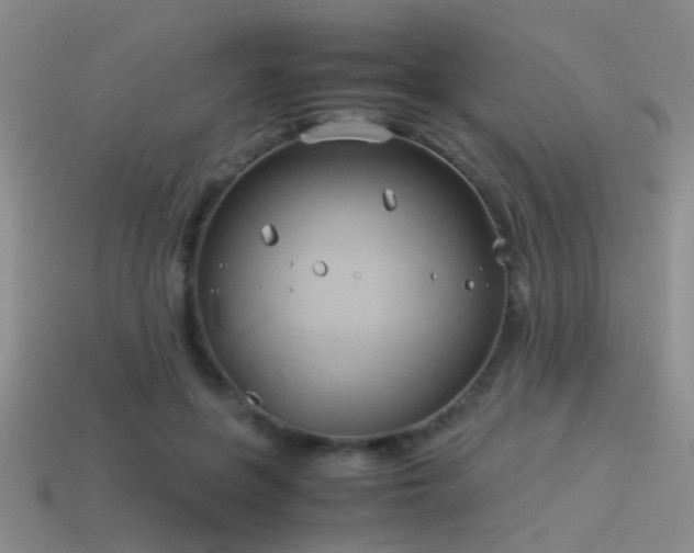 X0000114150551200910151547