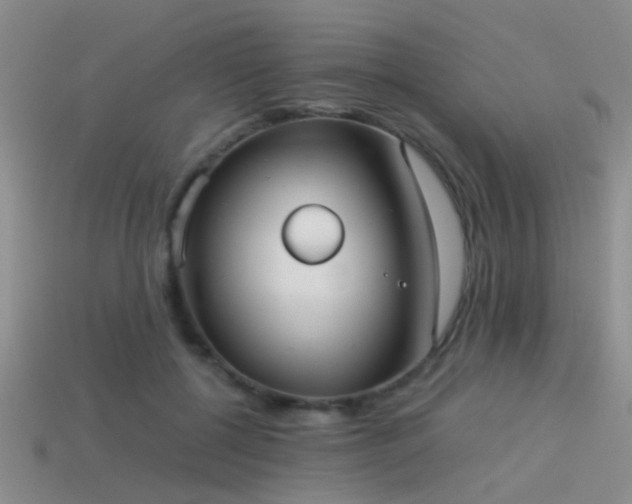 X0000114150552200910151547