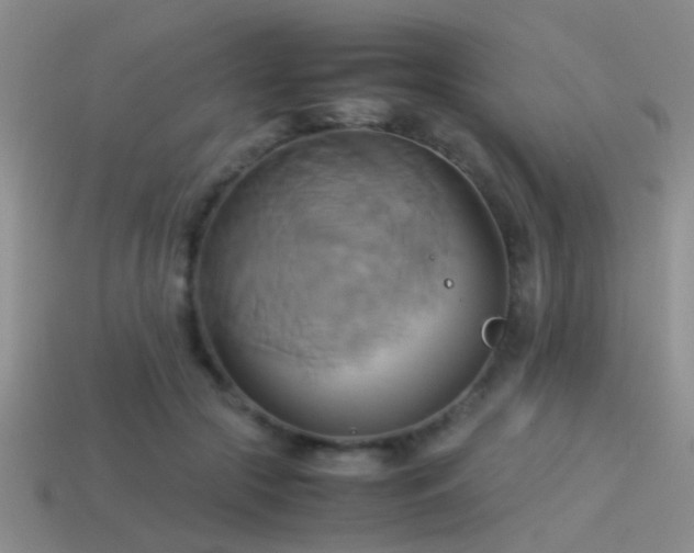 X0000114150553200910151547