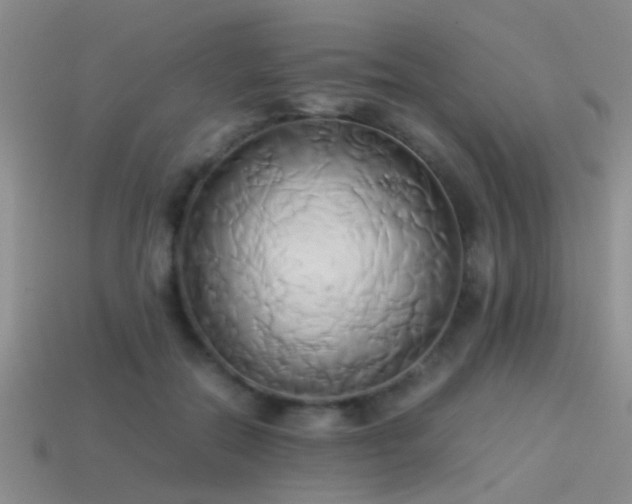 X0000114150554200910151547