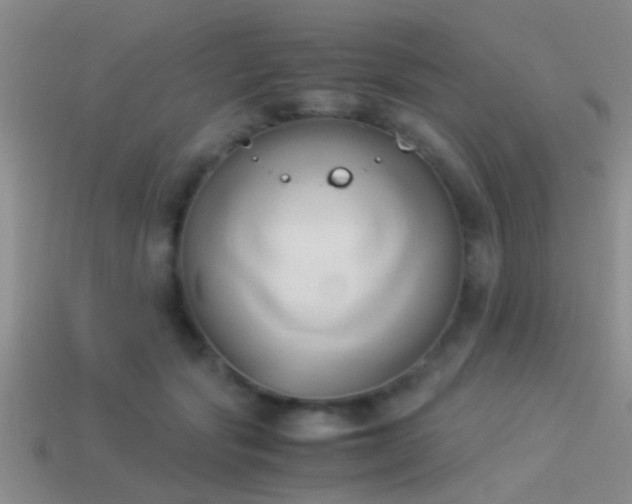 X0000114150557200910151547