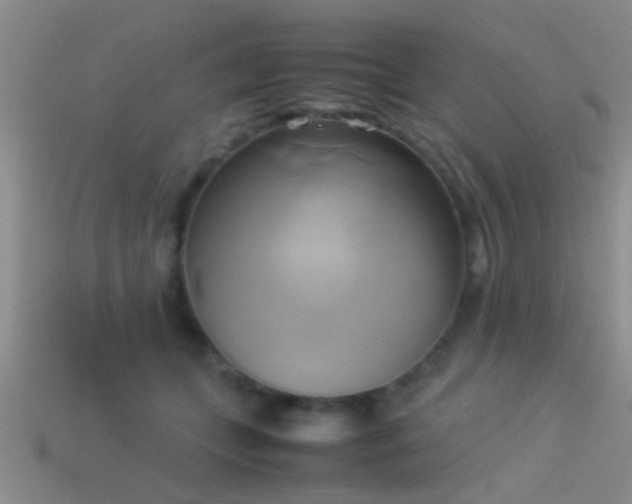 X0000114150559200910151547
