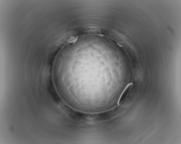 X0000114150560200910151547
