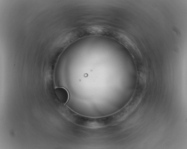 X0000114150561200910151547