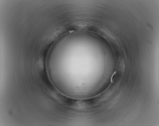 X0000114150562200910151547
