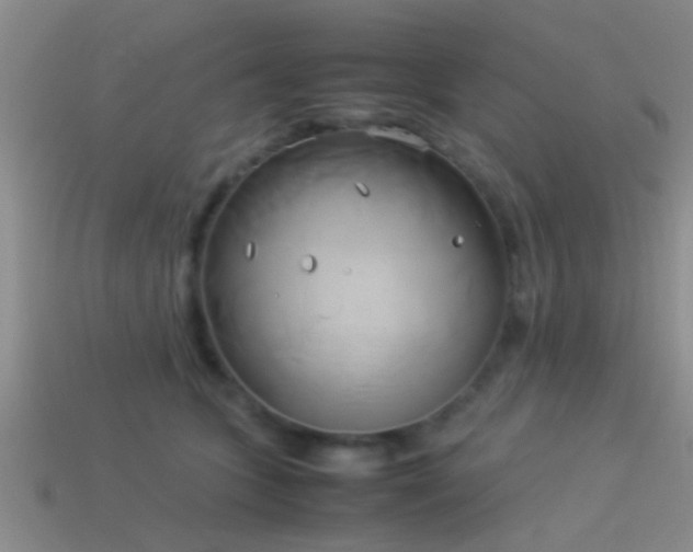 X0000114150563200910151547