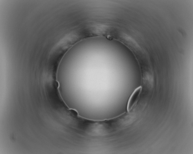 X0000114150566200910151547
