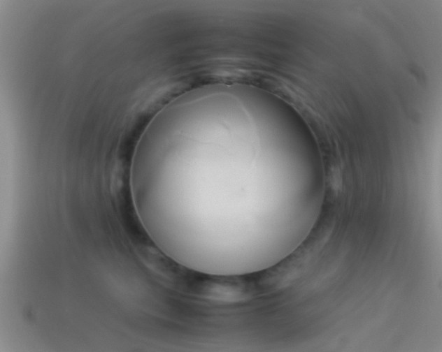 X0000114150567200910151547