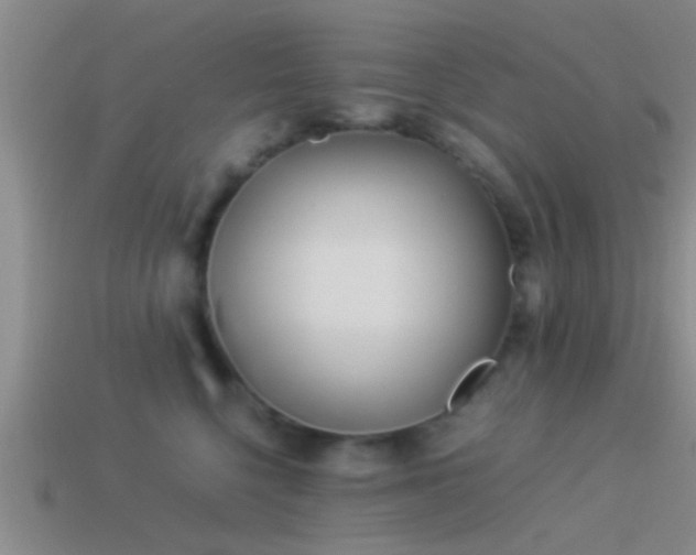 X0000114150568200910151547