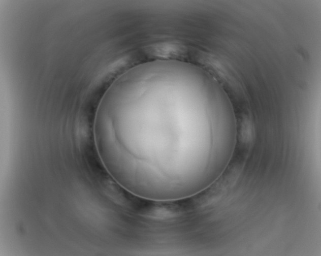 X0000114150569200910151547