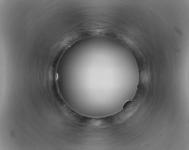 X0000114150570200910151547