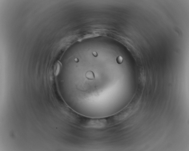 X0000114150571200910151547