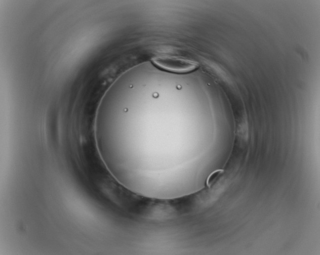 X0000114150572200910151547