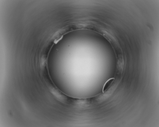 X0000114150574200910151547