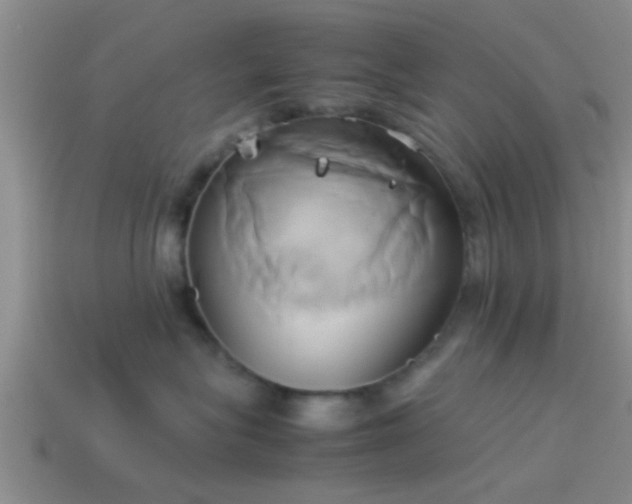 X0000114150575200910151547