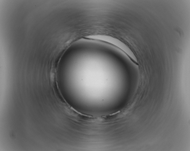 X0000114150576200910151547