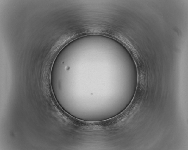 X0000114150577200910151546