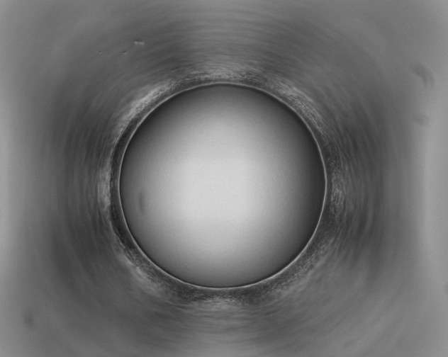 X0000114150578200910151546