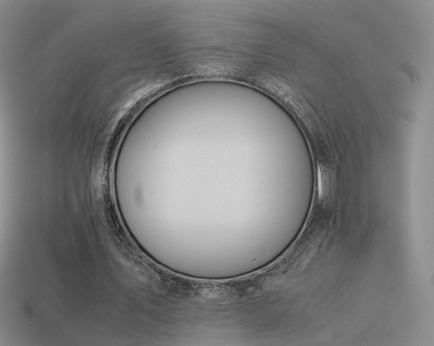 X0000114150579200910151546